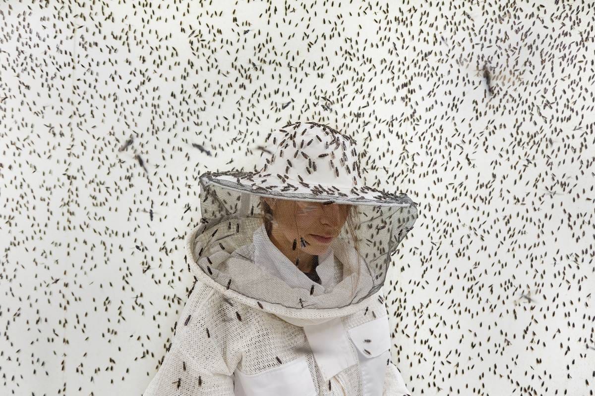 2026 Environmental Photography Prize