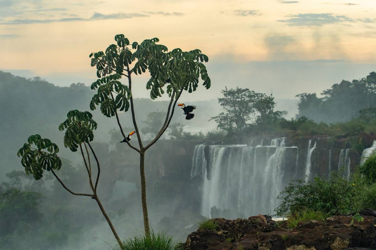 2026 Environmental Photography Prize