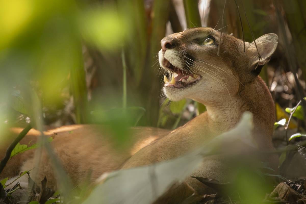 2026 Environmental Photography Prize