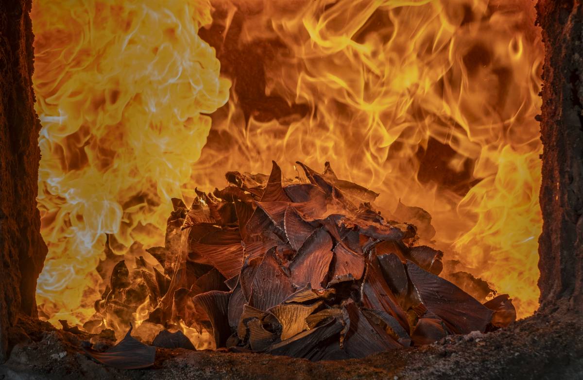 2026 Environmental Photography Prize