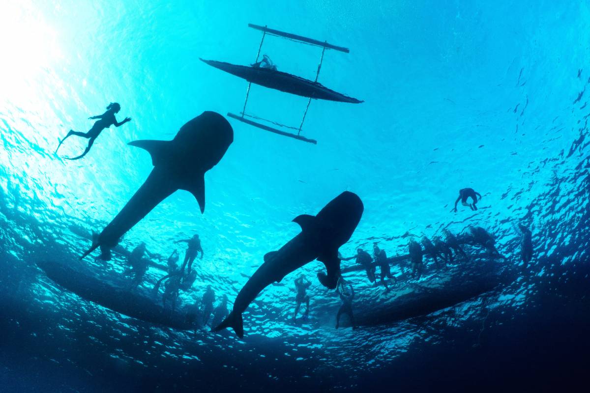 2026 Environmental Photography Prize
