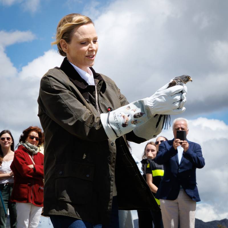 Princess Charlene Takes Part in the Rescue of a Rare Falcon