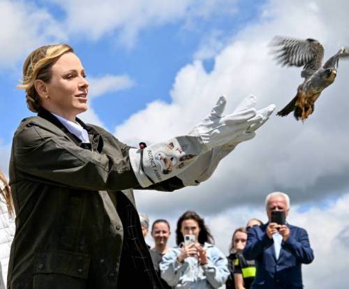 Princess Charlene Takes Part in the Rescue of a Rare Falcon