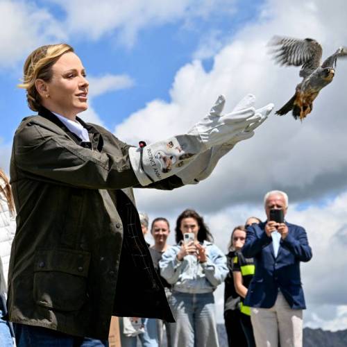 Princess Charlene Takes Part in the Rescue of a Rare Falcon
