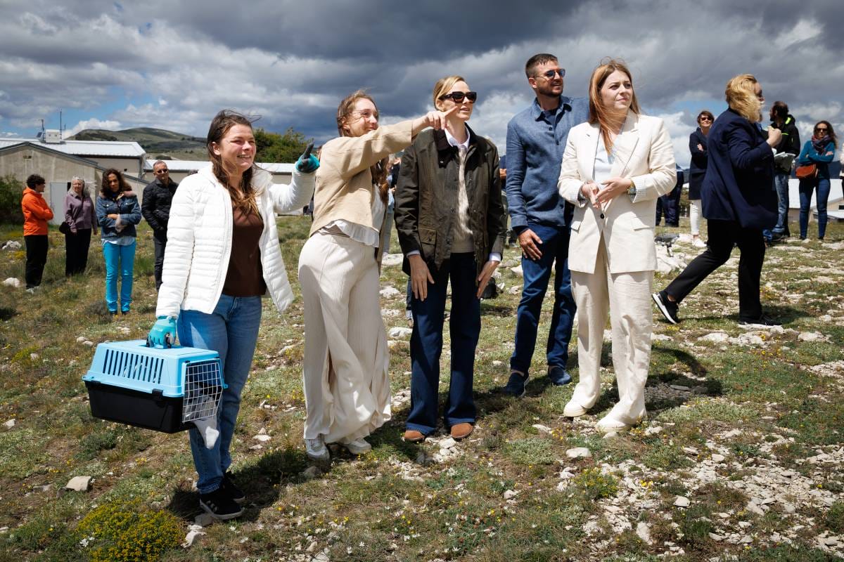 Princess Charlene Takes Part in the Rescue of a Rare Falcon