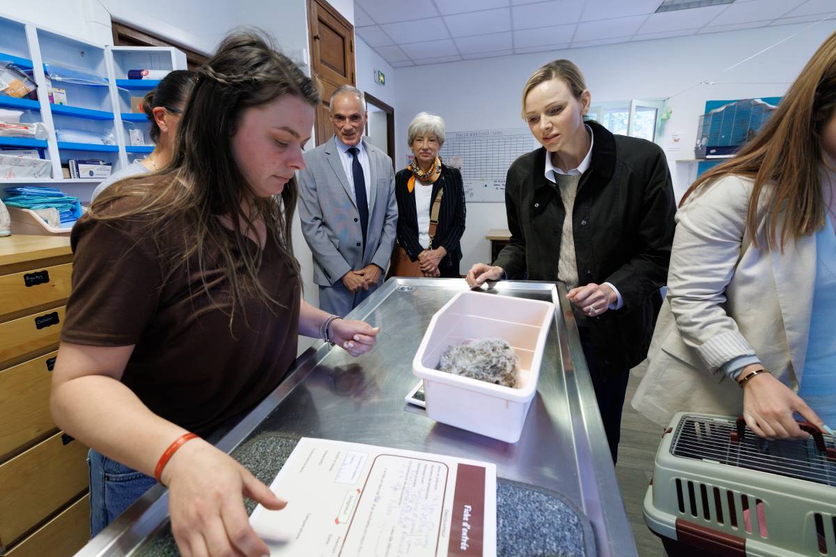 Princess Charlene Takes Part in the Rescue of a Rare Falcon