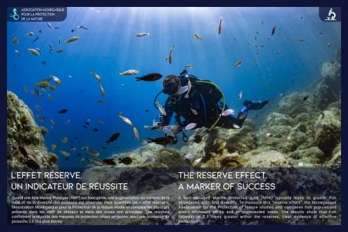 Monaco Marks 50 Years of Marine Conservation at the Méridien Beach Plaza