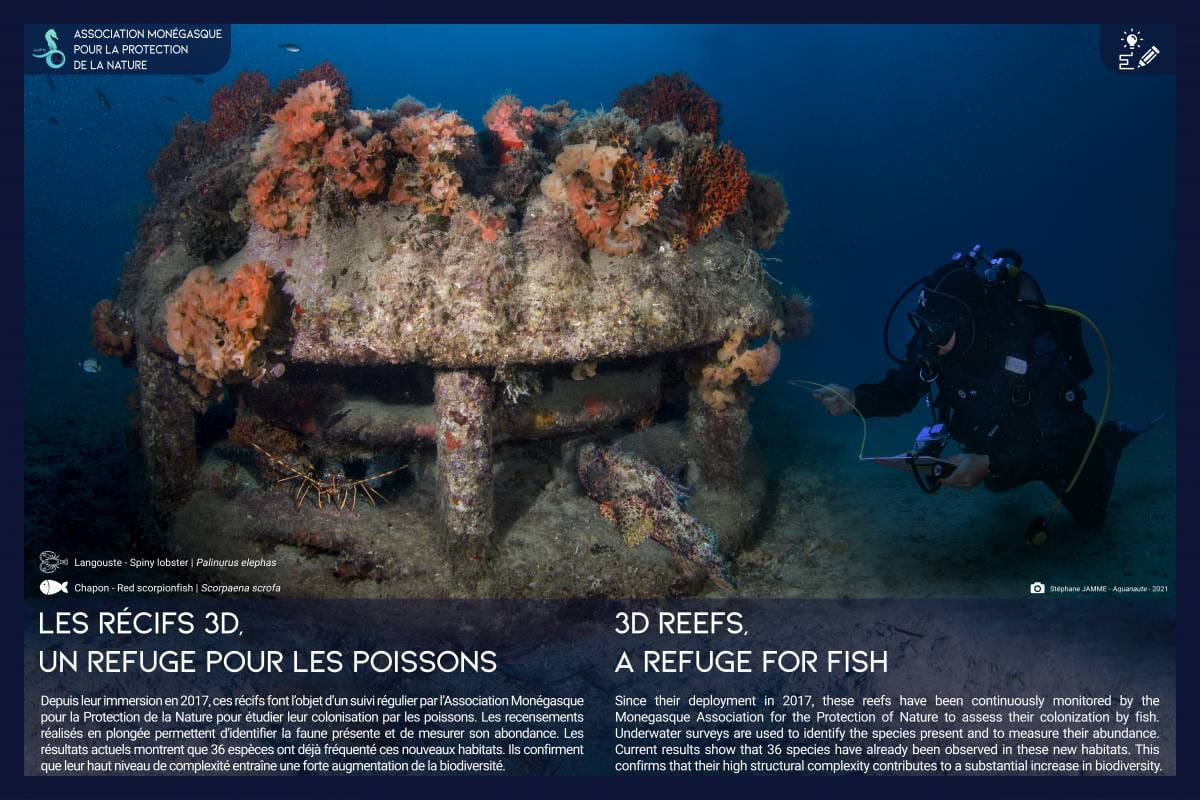 Monaco Marks 50 Years of Marine Conservation at the Méridien Beach Plaza