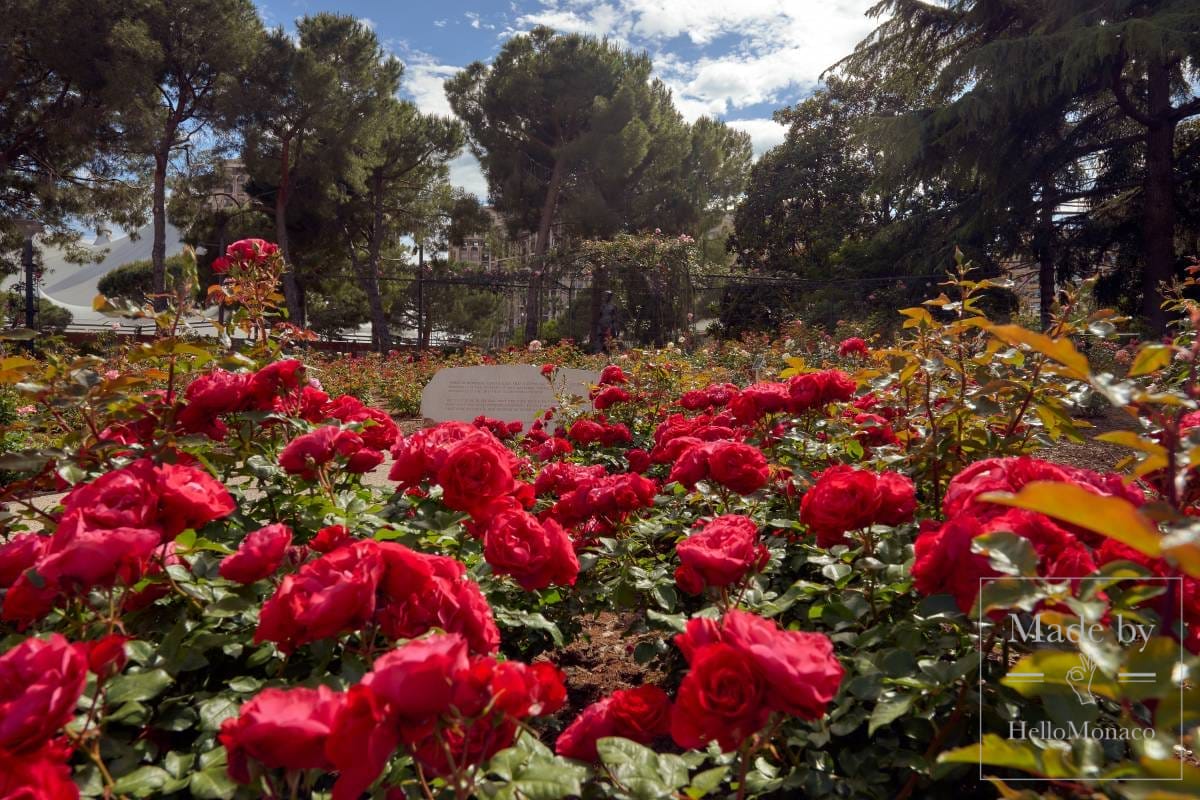 Princess Grace Rose Garden