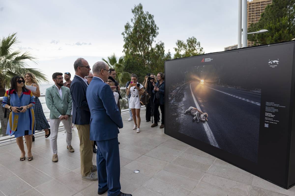 Prince Albert II of Monaco Foundation