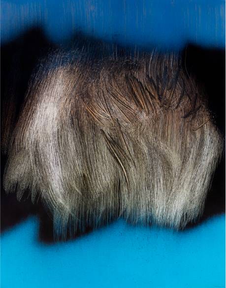 “The voices their works speak” at the Hartung-Bergman Foundation in Antibes